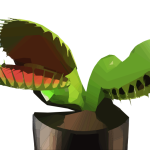 Venus flytrap