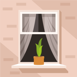 Window with a flower in the pot