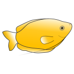 Yellow Gourami