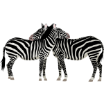 Zebras monochrome art