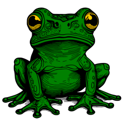 Frog VI
