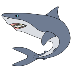 Shark 15